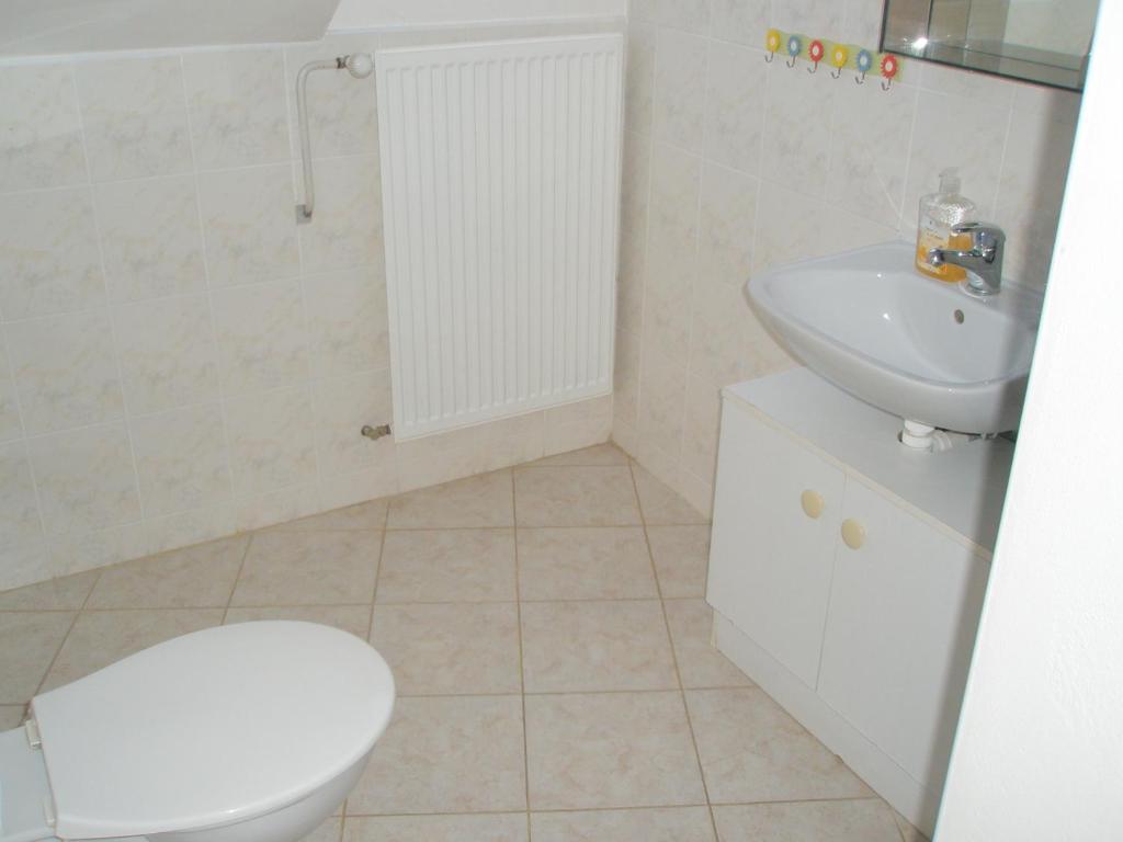 Pension Kozel Ржичани Экстерьер фото